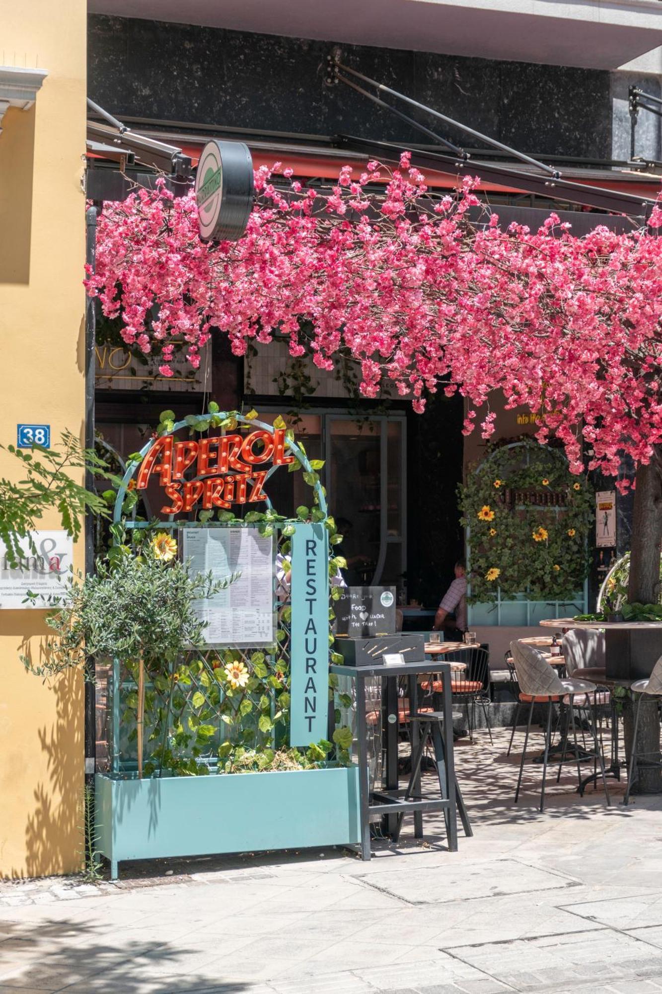 Ivy Apartments In The Heart Of Athens Exterior photo